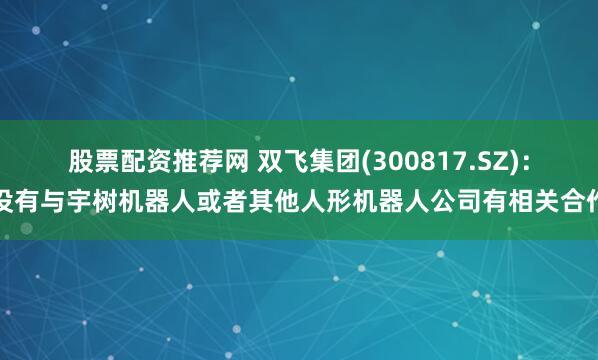 股票配资推荐网 双飞集团(300817.SZ)：没有与宇树机器人或者其他人形机器人公司有相关合作