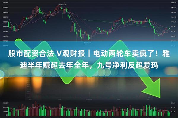 股市配资合法 V观财报｜电动两轮车卖疯了！雅迪半年赚超去年全年，九号净利反超爱玛