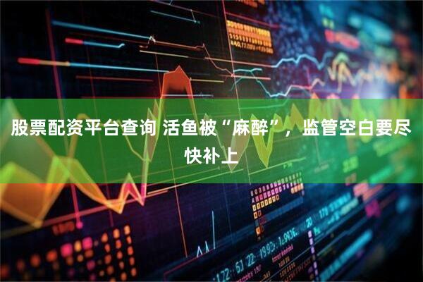 股票配资平台查询 活鱼被“麻醉”，监管空白要尽快补上